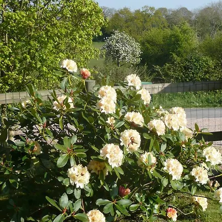 Bed & Breakfast Manoir Du Pre Joly *