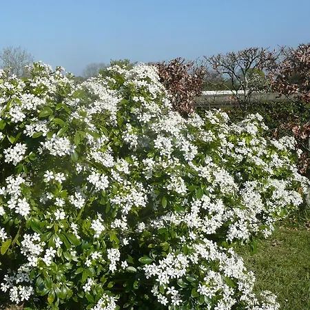 Manoir Du Pre Joly Bed & Breakfast Villers-sur-Mer